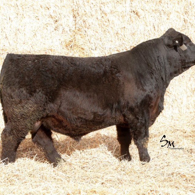 blog masonry last sunday