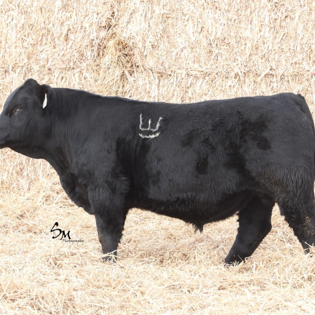 blog masonry last sunday