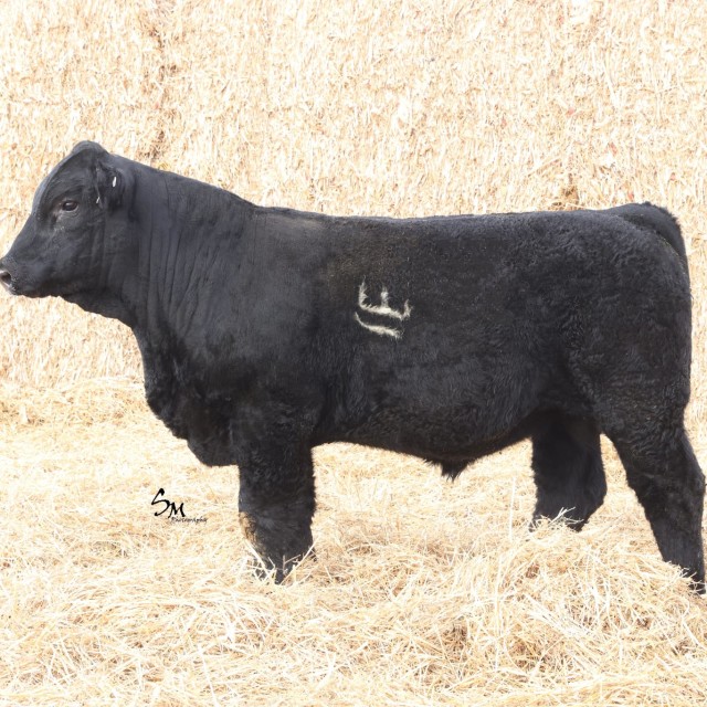 blog masonry last sunday