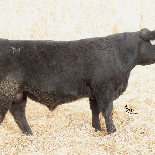 image blog post last sunday