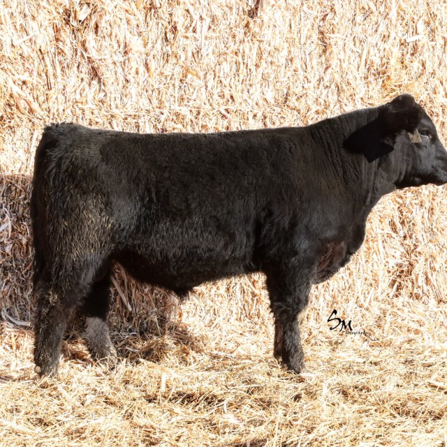 image blog post last sunday