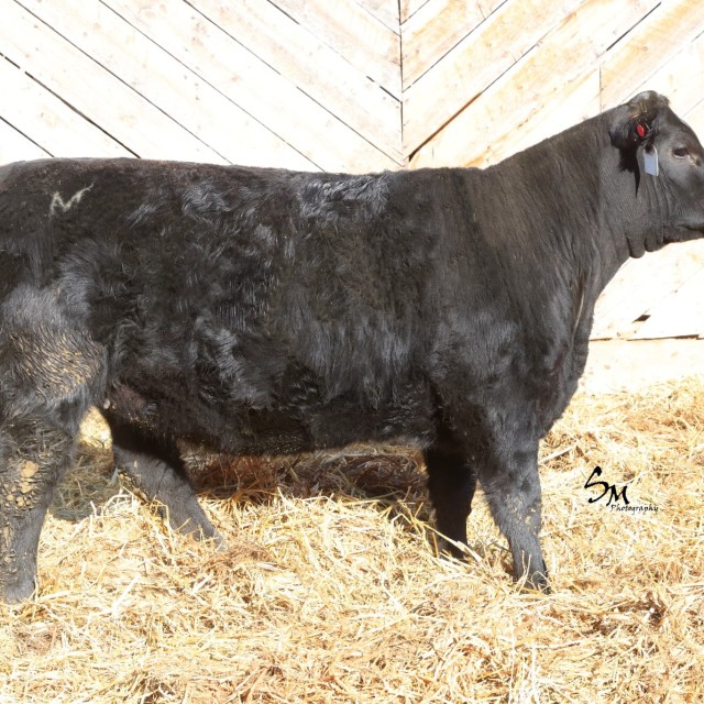 image blog post last sunday