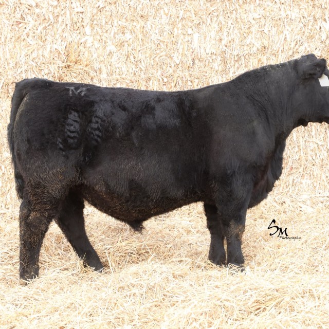 image blog post last sunday