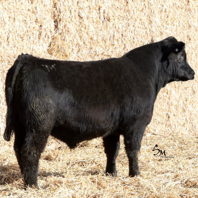 image blog post last sunday