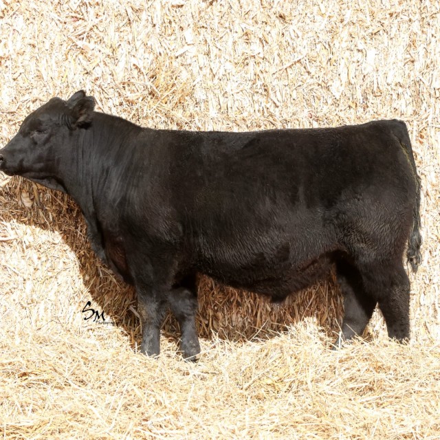 image blog post last sunday