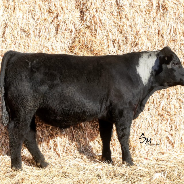 image blog post last sunday