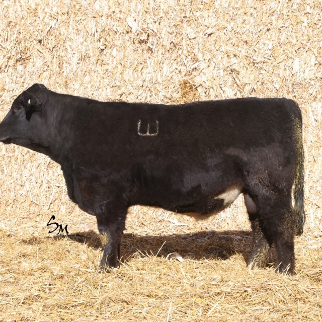 image blog post last sunday