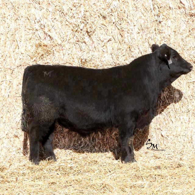 image blog post last sunday