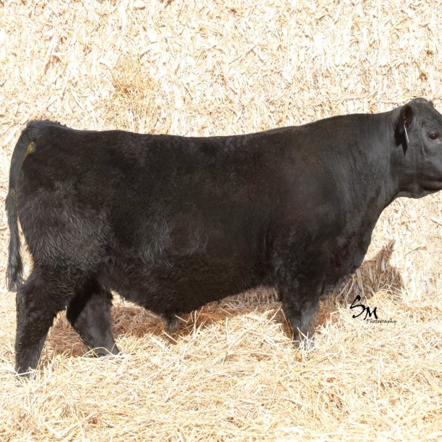 image blog post last sunday