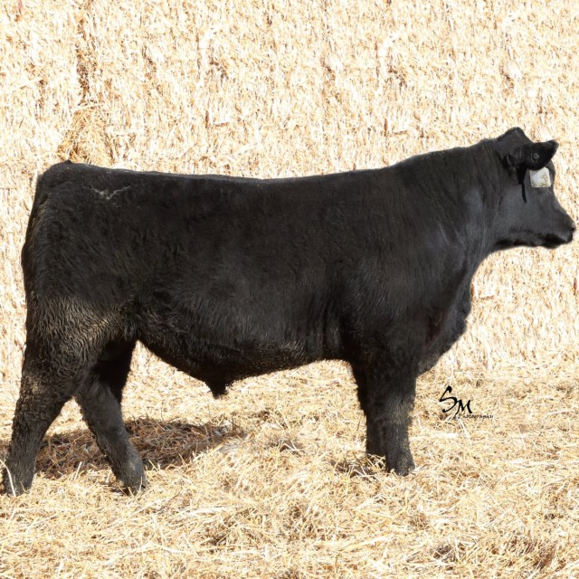 image blog post last sunday