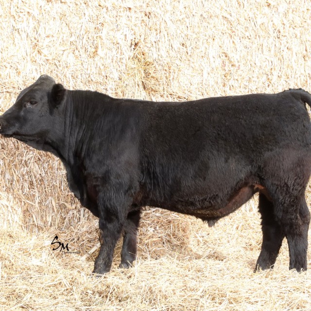 image blog post last sunday