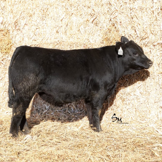 image blog post last sunday