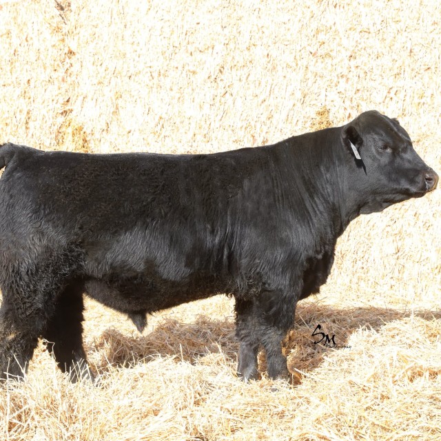 blog masonry last sunday