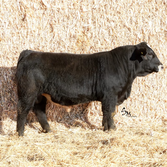 image blog post last sunday