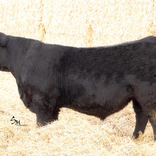 image blog post last sunday