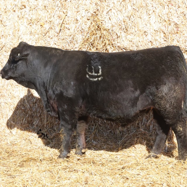 image blog post last sunday