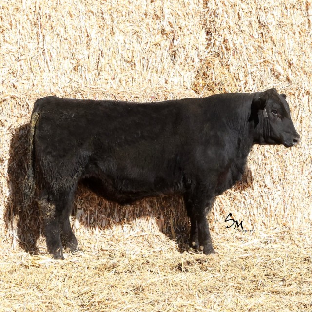 image blog post last sunday