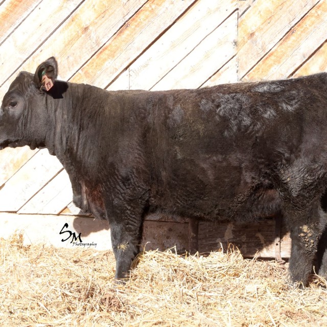 image blog post last sunday