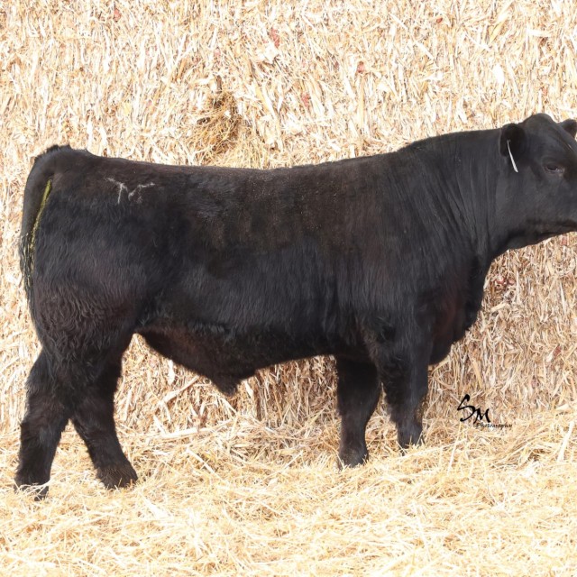 blog masonry last sunday