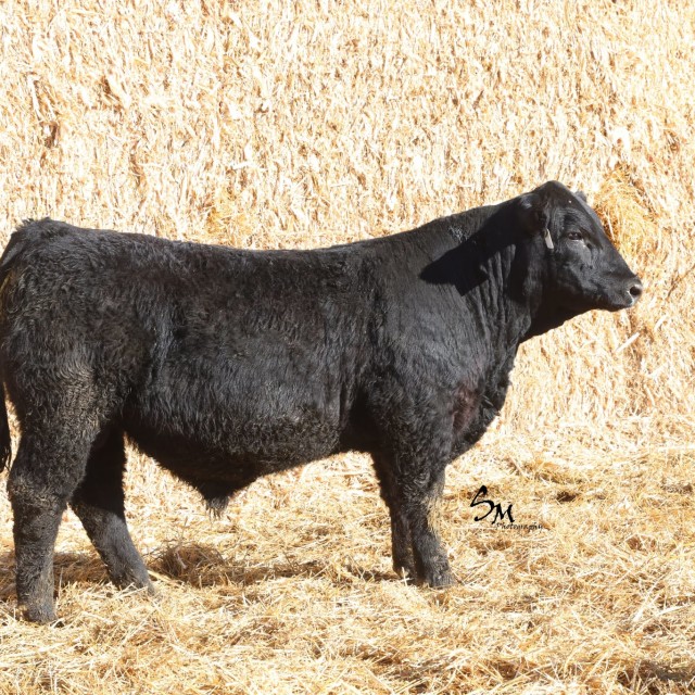 image blog post last sunday