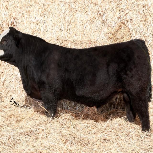 blog masonry last sunday