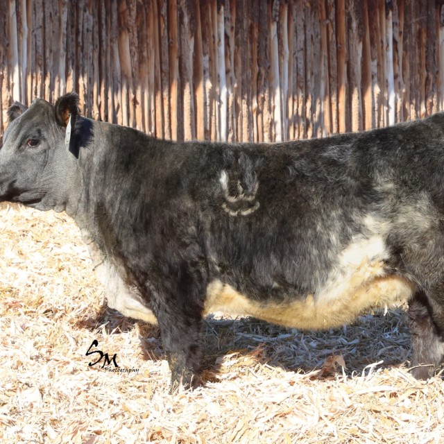 image blog post last sunday