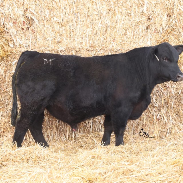 blog masonry last sunday