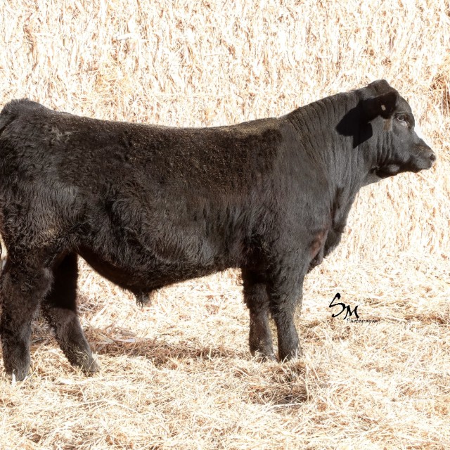 image blog post last sunday