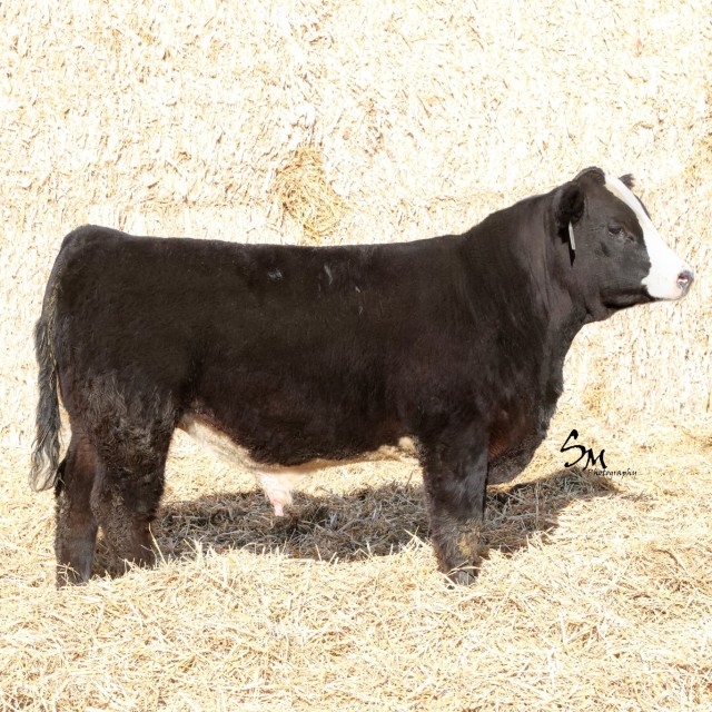 image blog post last sunday