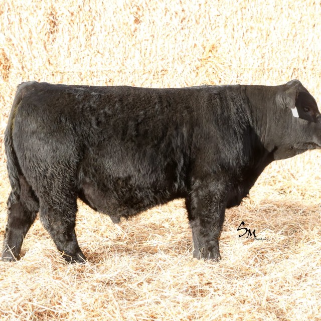 blog masonry last sunday