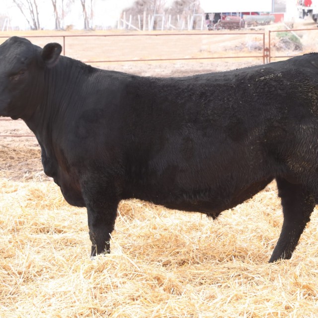 image blog post last sunday