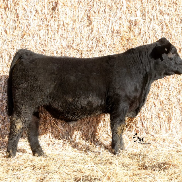 image blog post last sunday