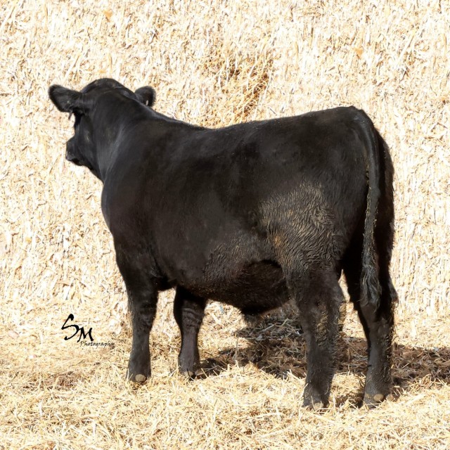 image blog post last sunday