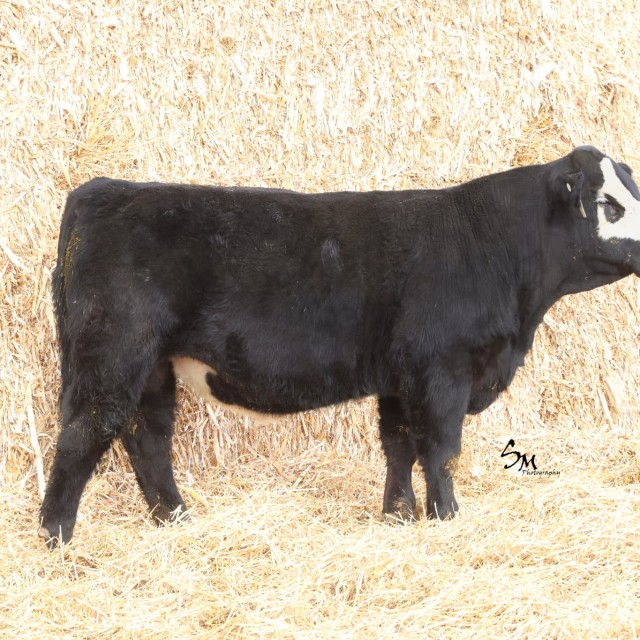 blog masonry last sunday