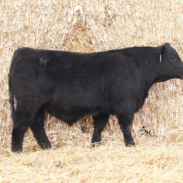 blog masonry last sunday