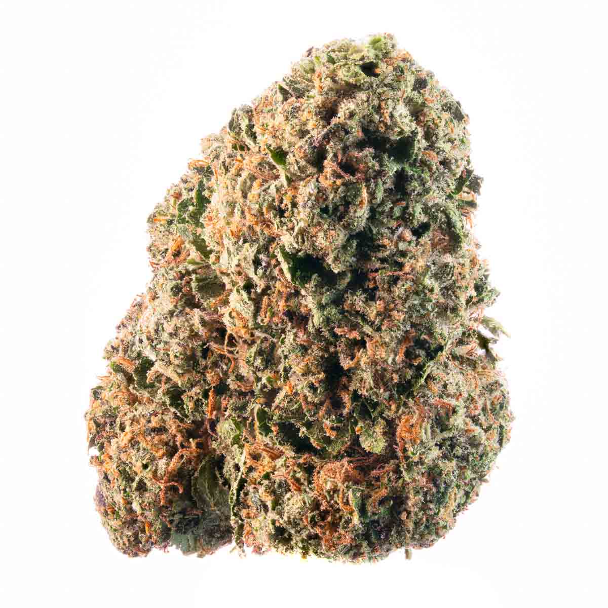 HYPE TRAIN - Bacio 41 Flower 3.5g