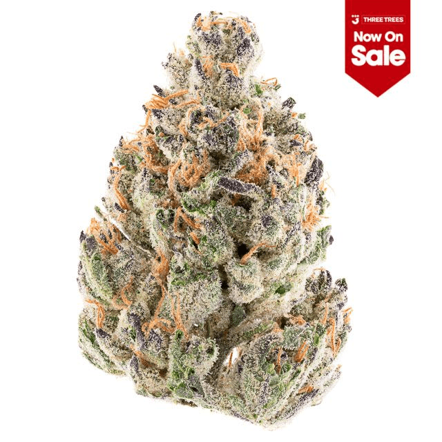 HYPE TRAIN - Stardawg Guava Flower 3.5g