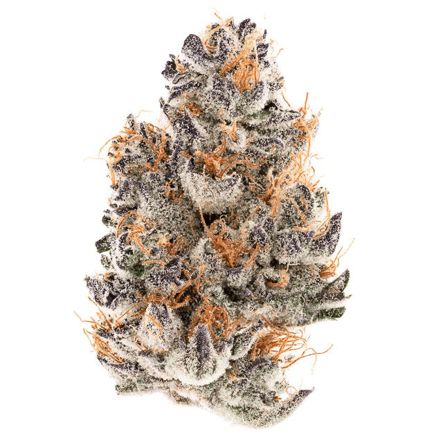 TEAM ELITE - Styrofoam Cup Flower 3.5g