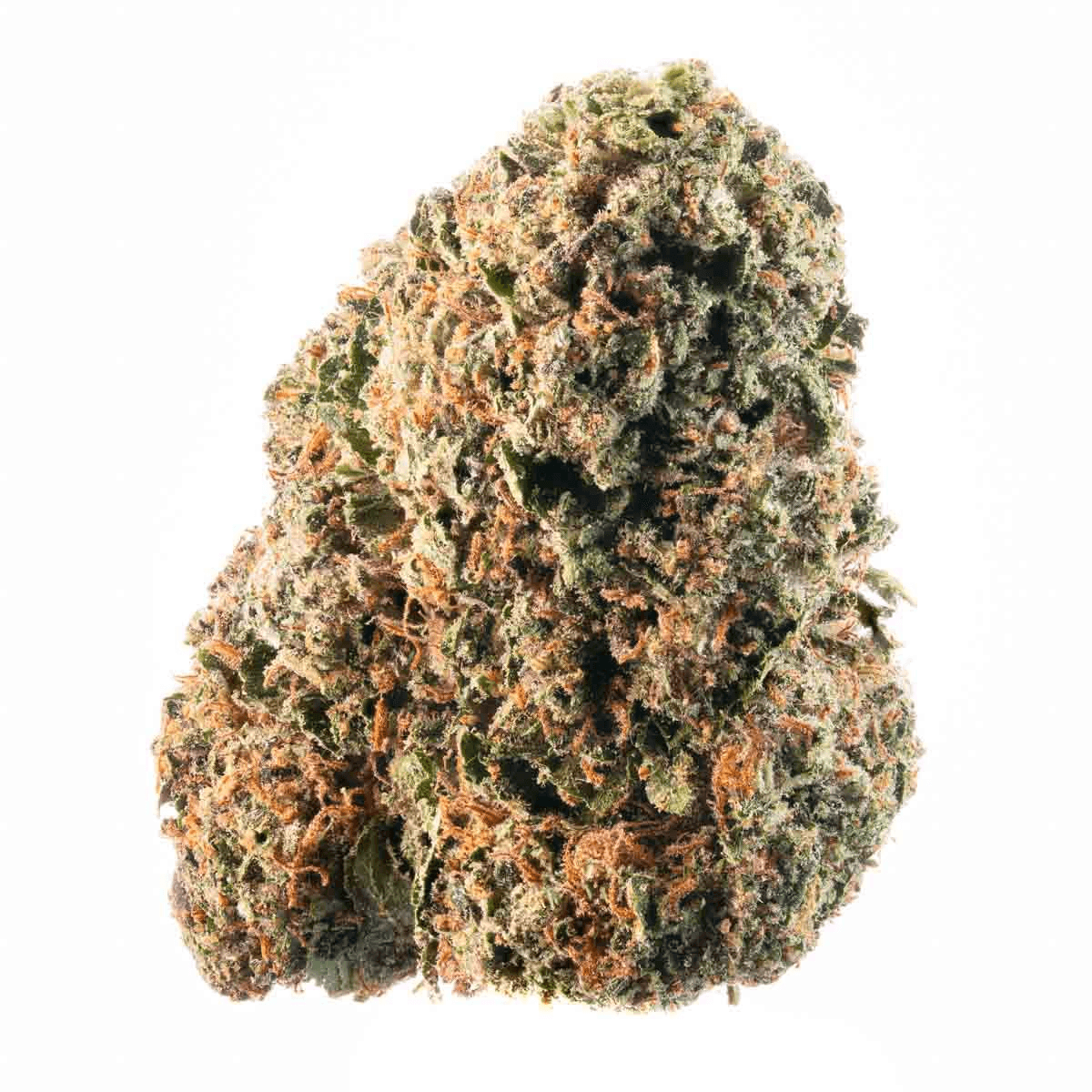 HYPE TRAIN - Bacio 41 Flower 3.5g