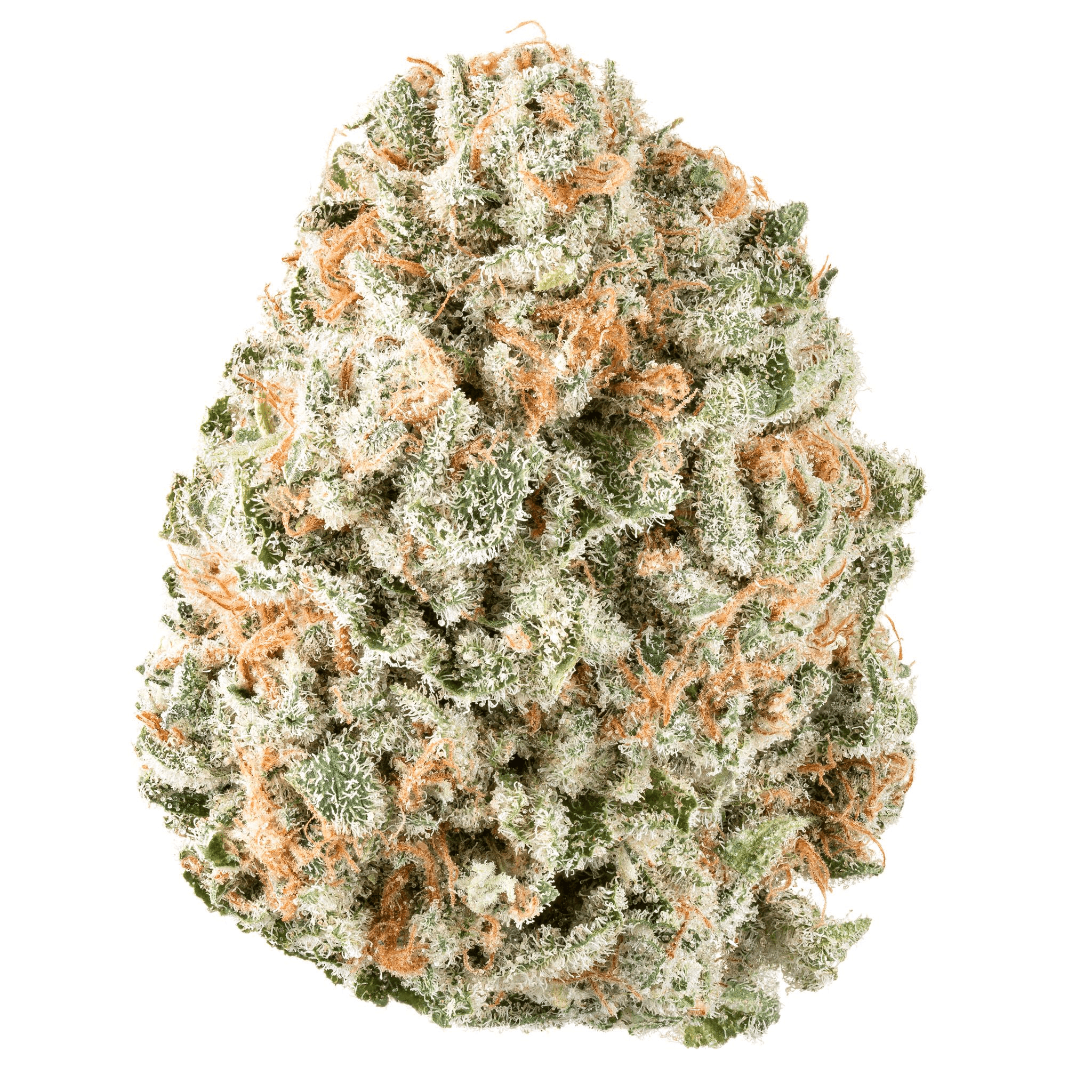 HYPE TRAIN - Super Jack Flower 14g