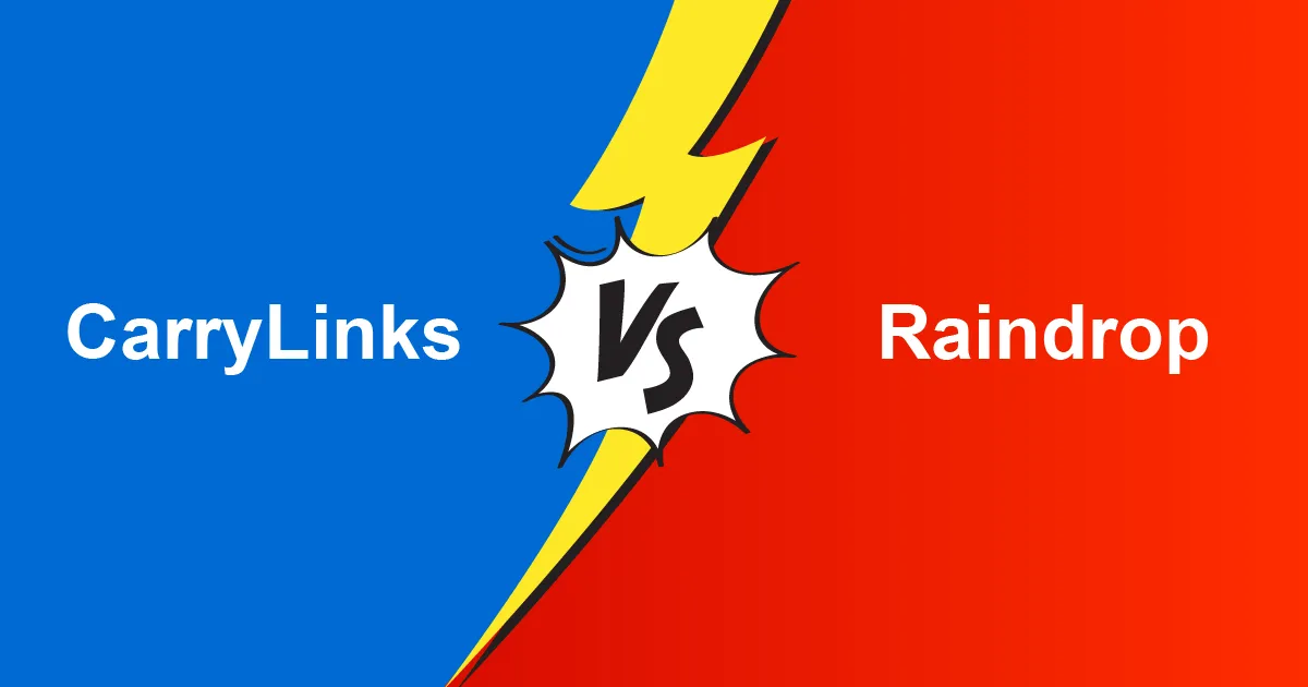 Illustration divided diagonally with the text 'CarryLinks VS Raindrop' in the center