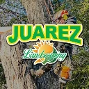 Juarez Landscaping and Tree Services - CarryLinks