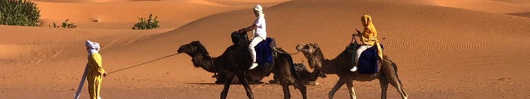 Sandra Dani Profile Image