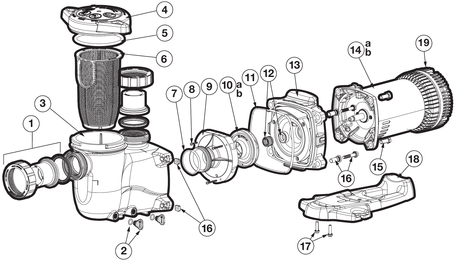 MaxFlo XE Pump - Hayward Parts Diagram
