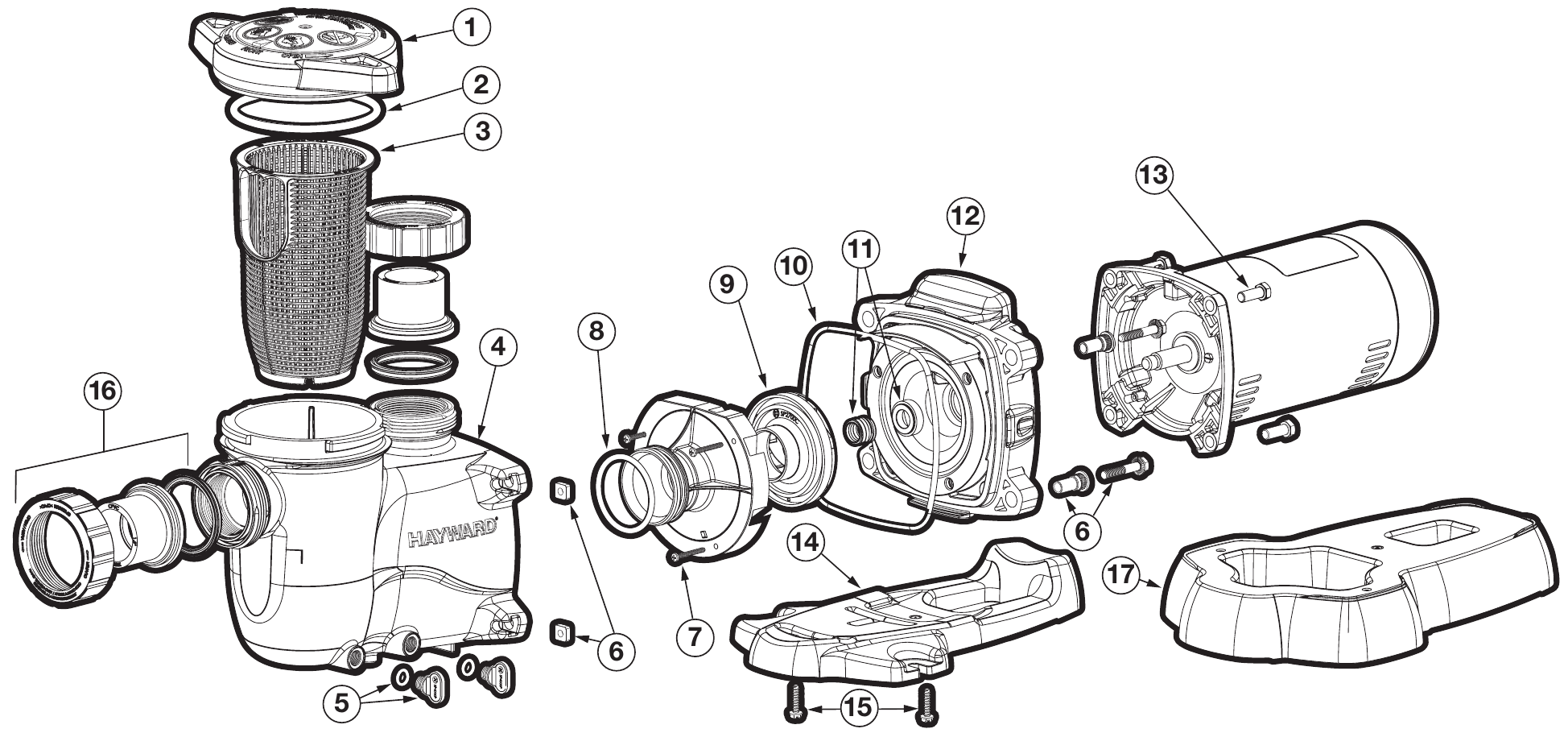 MaxFlo XL Pump - Hayward Parts Diagram