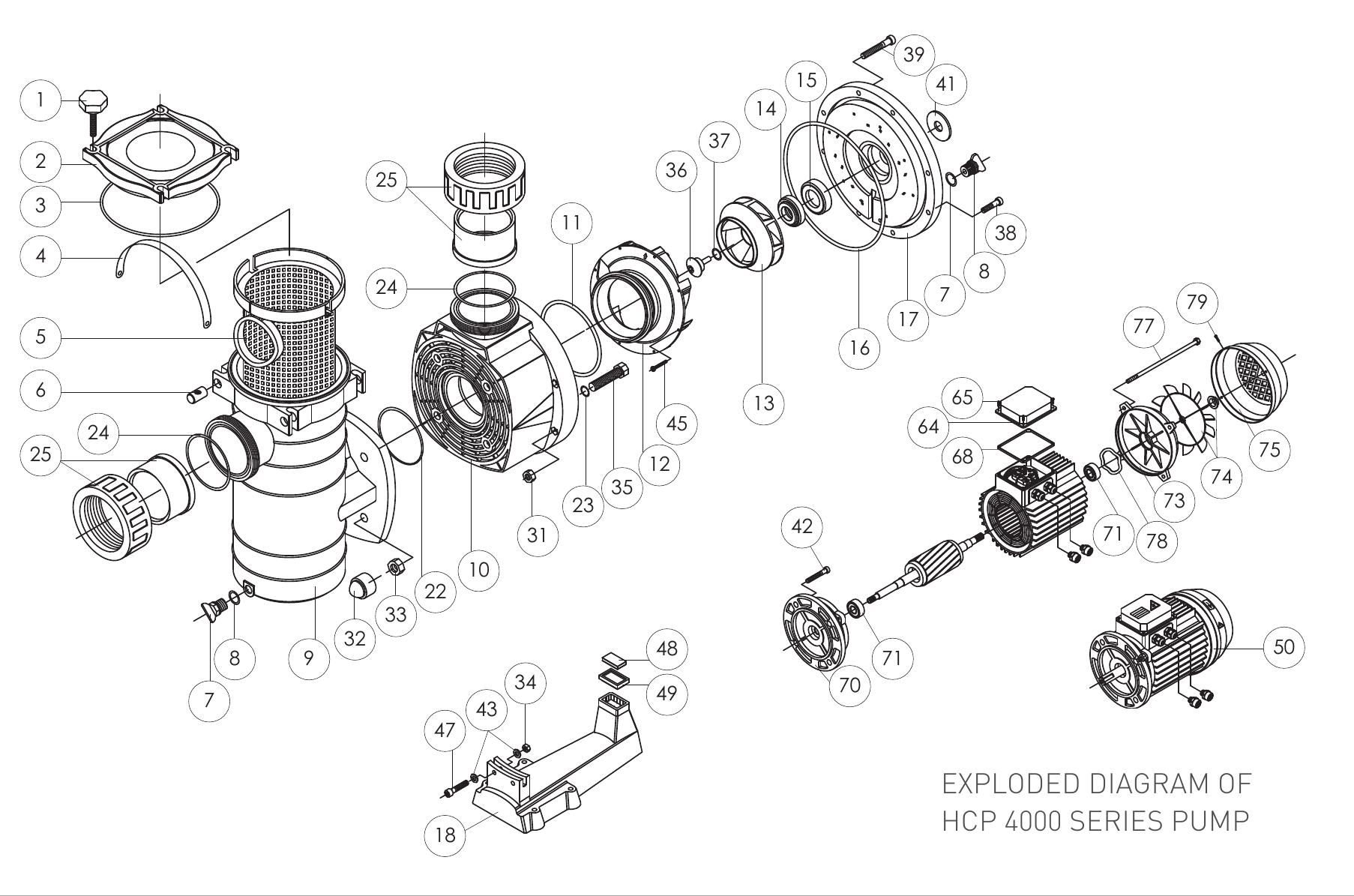 HCP 4000 Commercial Pump - Hayward Parts Diagram