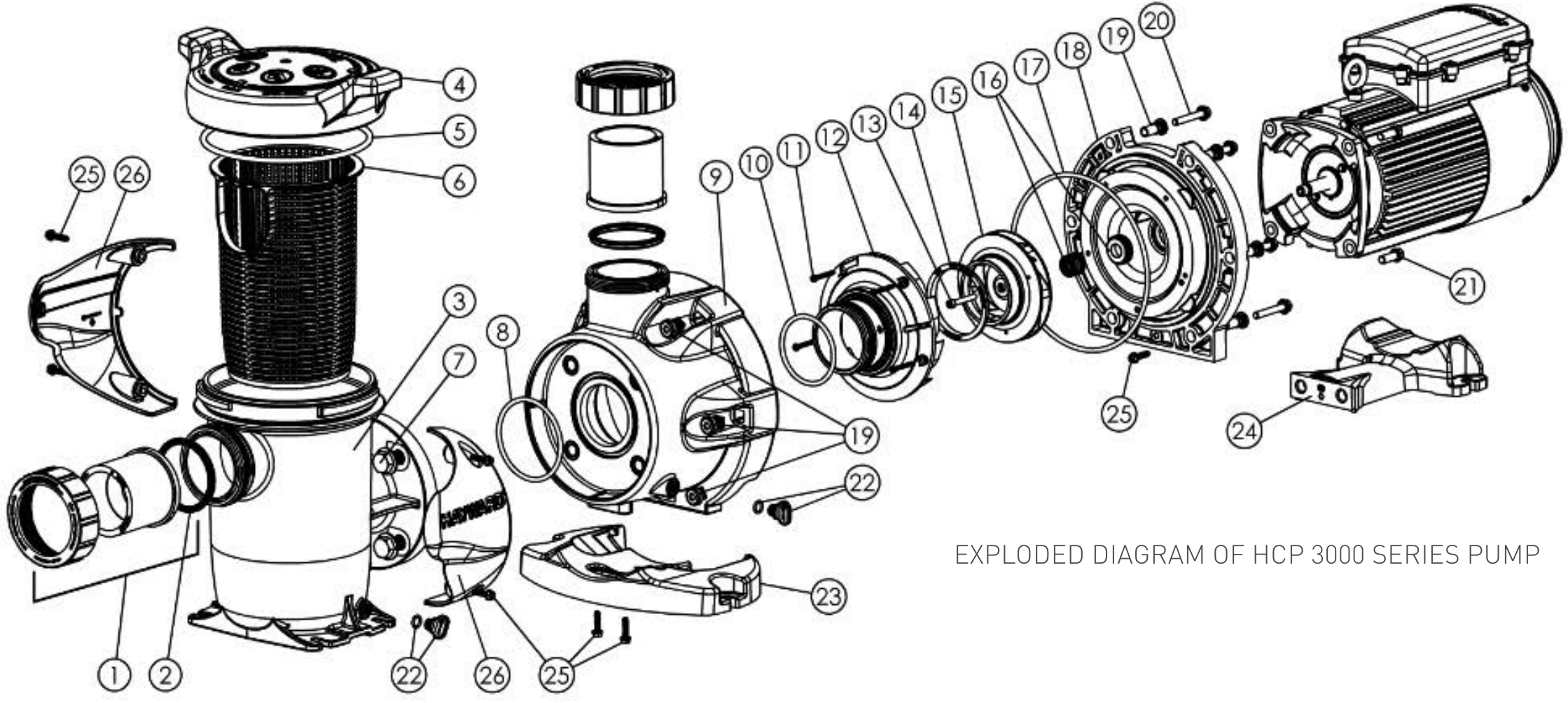 HCP 3000 Commercial Pump - Hayward Parts Diagram