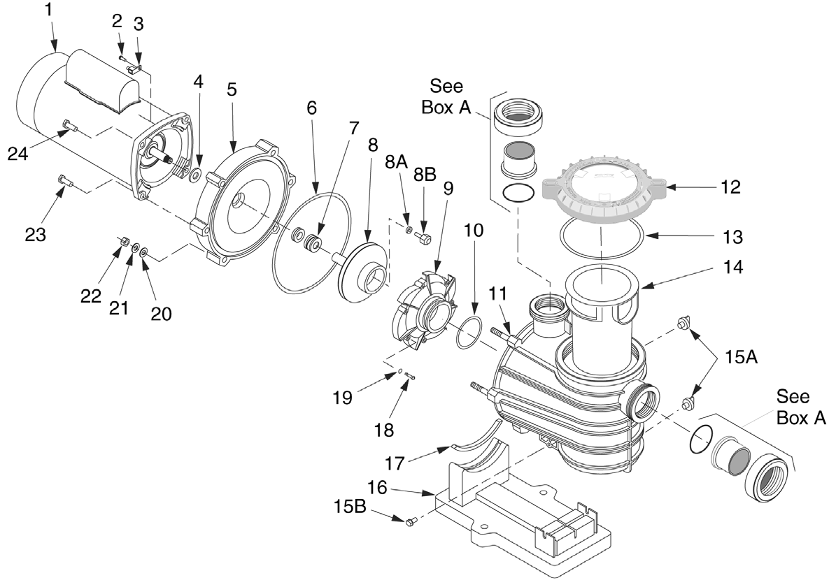 Dyna-Pro / Dyna-Pro E Pumps - Pentair Parts Diagram