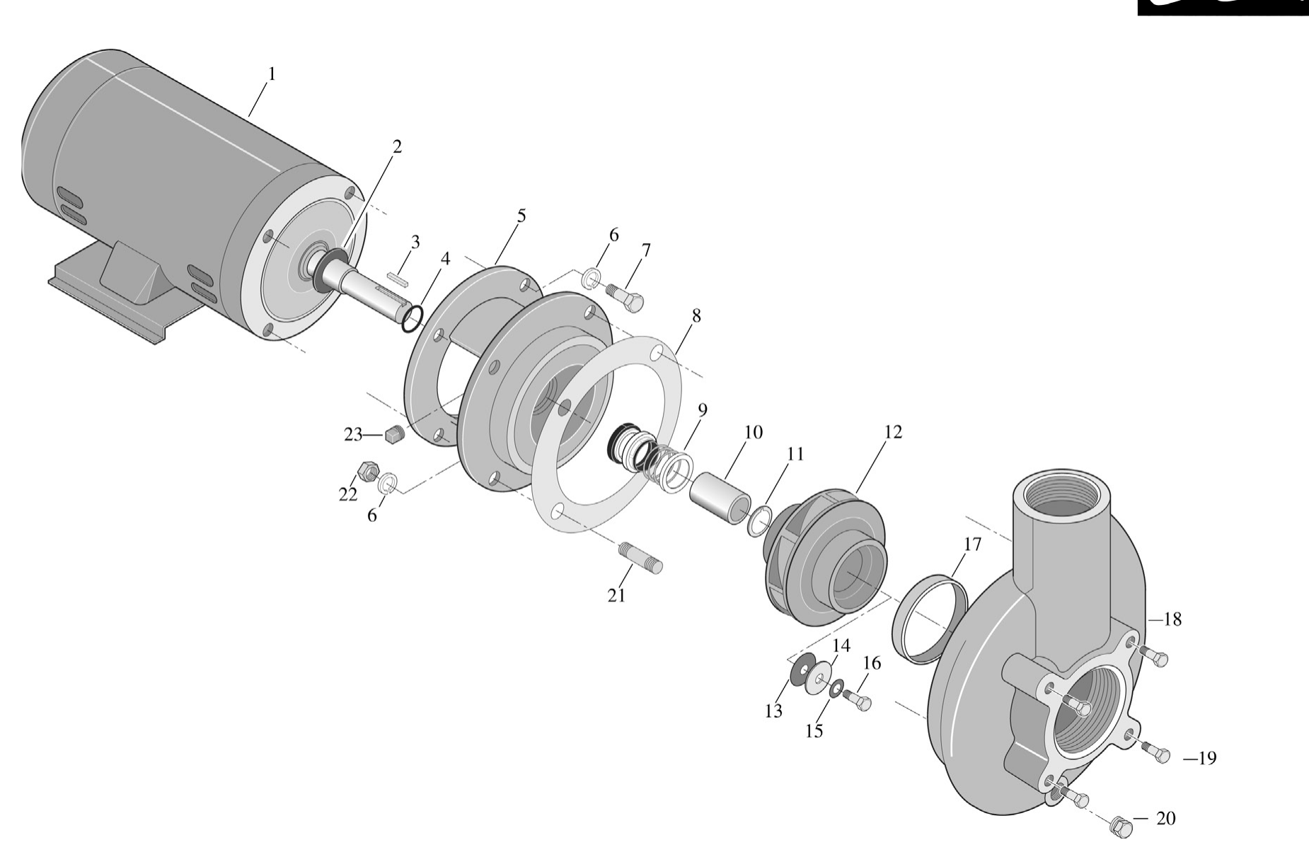 C/CC Series 5HP Centrifugal Pump - Pentair Parts Diagram