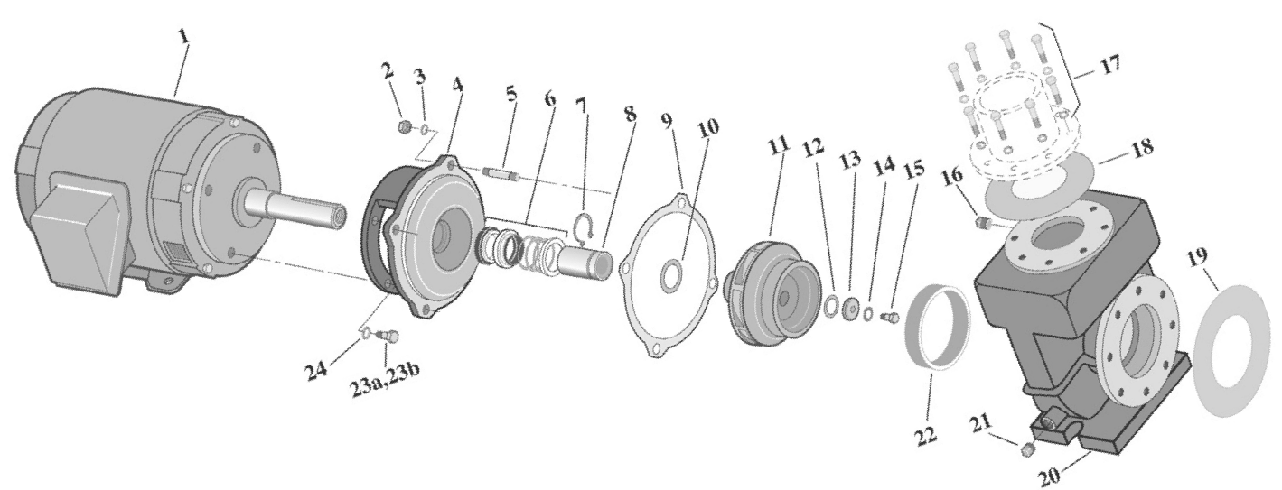 CSPH/CCSPH Series Pump - Pentair Parts Diagram